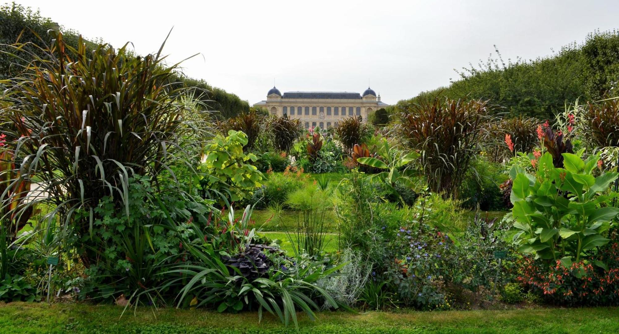 So Paris Group - Fully Serviced Apartment - Jardin Des Plantes - Heart Of Paris Eksteriør billede